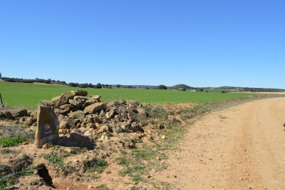 Complejo Lagunar Corral Rubio 2