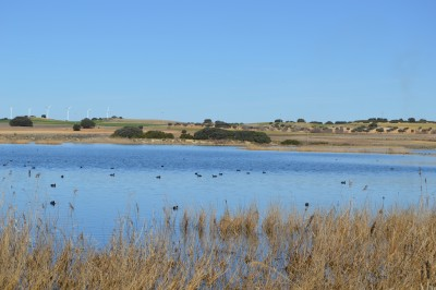 Complejo Lagunar Corral Rubio 5